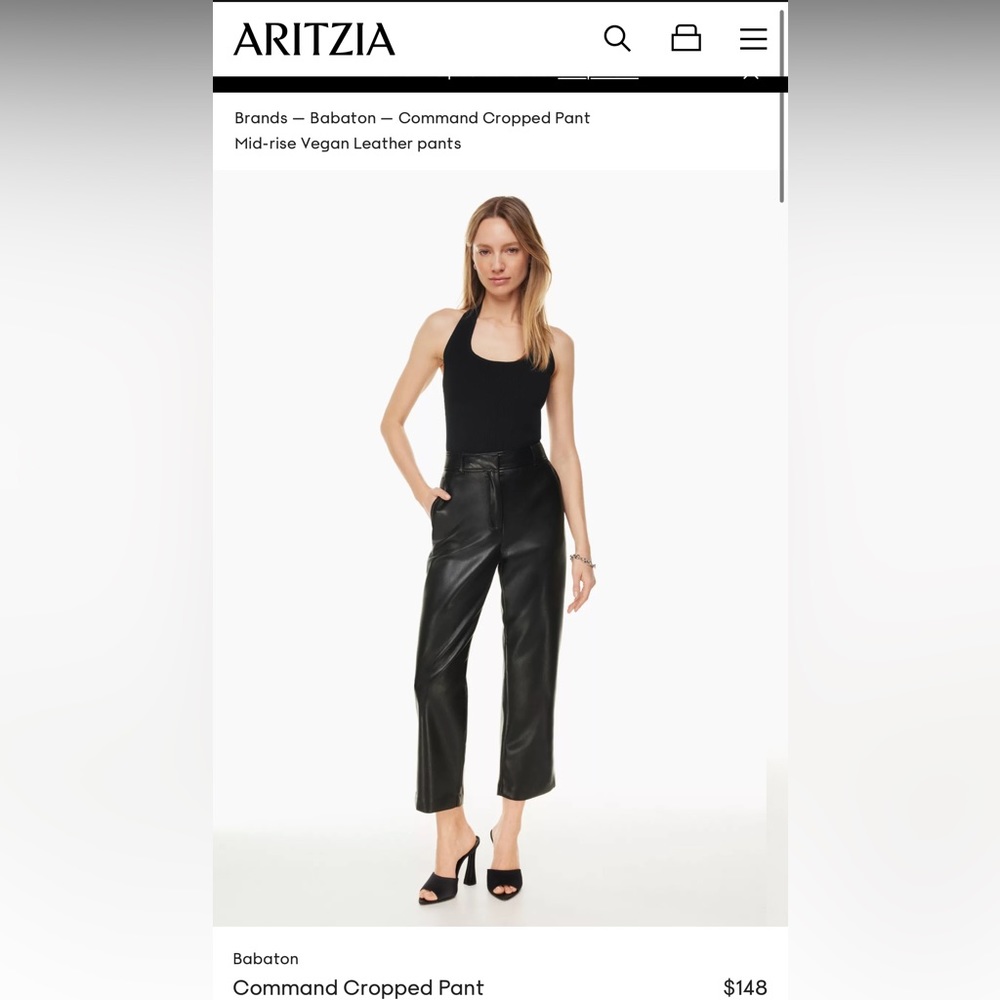 NWT Aritzia babaton vegan leather pants